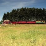 Siaurukas, ferrocarril de vía estrecha de Lituania